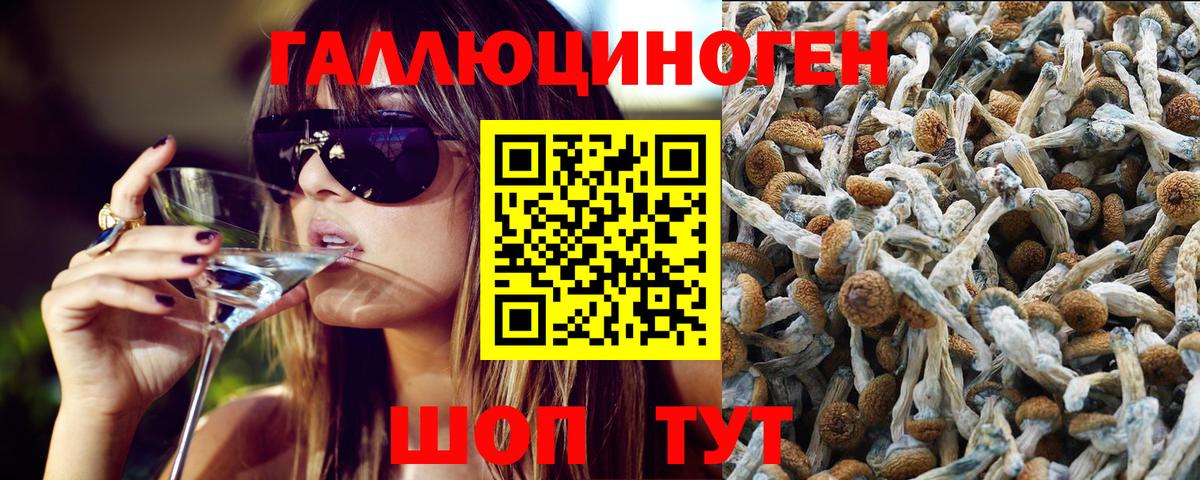 Псилоцибиновые грибы мухоморы Чапаевск