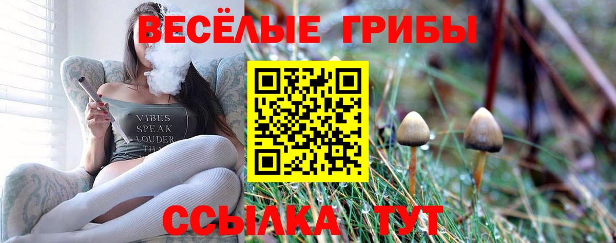 Галлюциногенные грибы Psilocybine cubensis  Галлюциногенные грибы Psilocybine cubensis  Вход с VPN  Чапаевск 